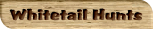 Whitetail Hunts